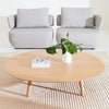 Modern living room with gray armchairs, a wooden coffee table, and a plant.