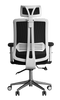 Ergonomic office chair with mesh back and adjustable headrest on a white background